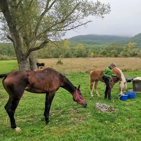 Dimora Barbolani Pensionat
