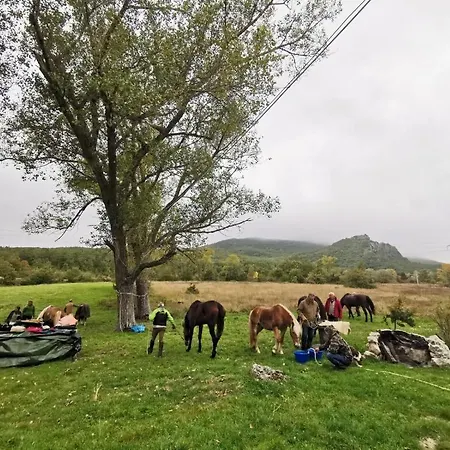 Dimora Barbolani Pensionat 3*