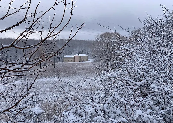 Affittacamere Dimora Barbolani 3*