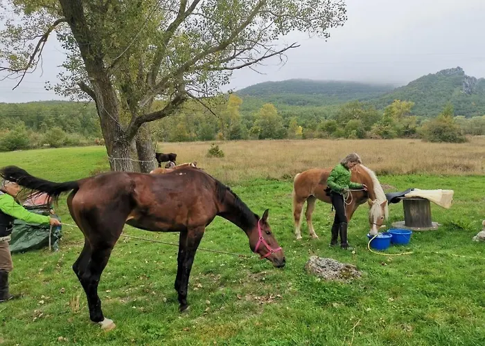 Dimora Barbolani Konukevi