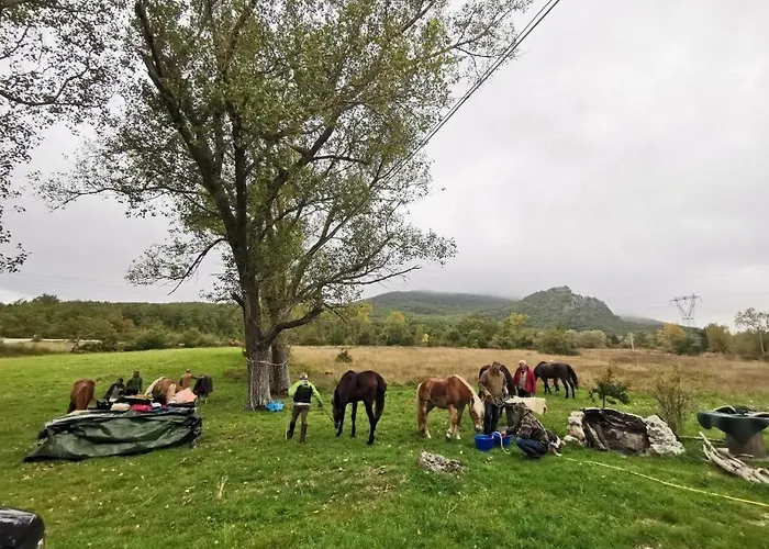 Dimora Barbolani Affittacamere 3*